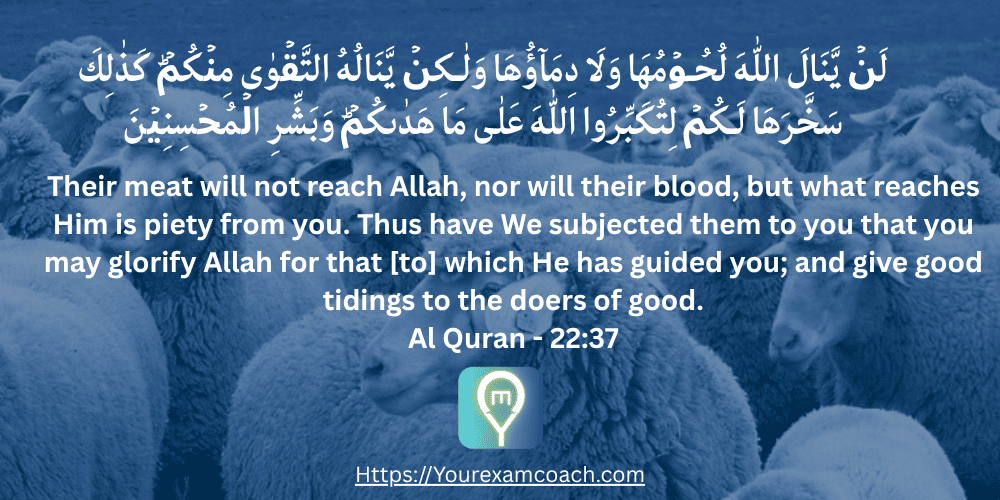 Qurbani [Hajj in Islam], 